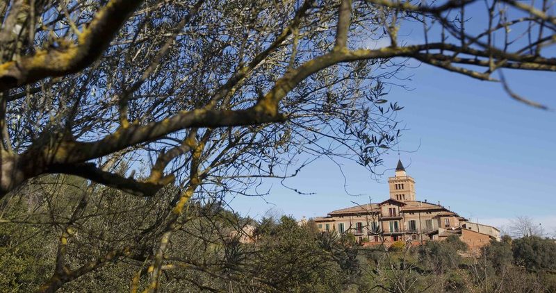 Passejades per Collserola 3